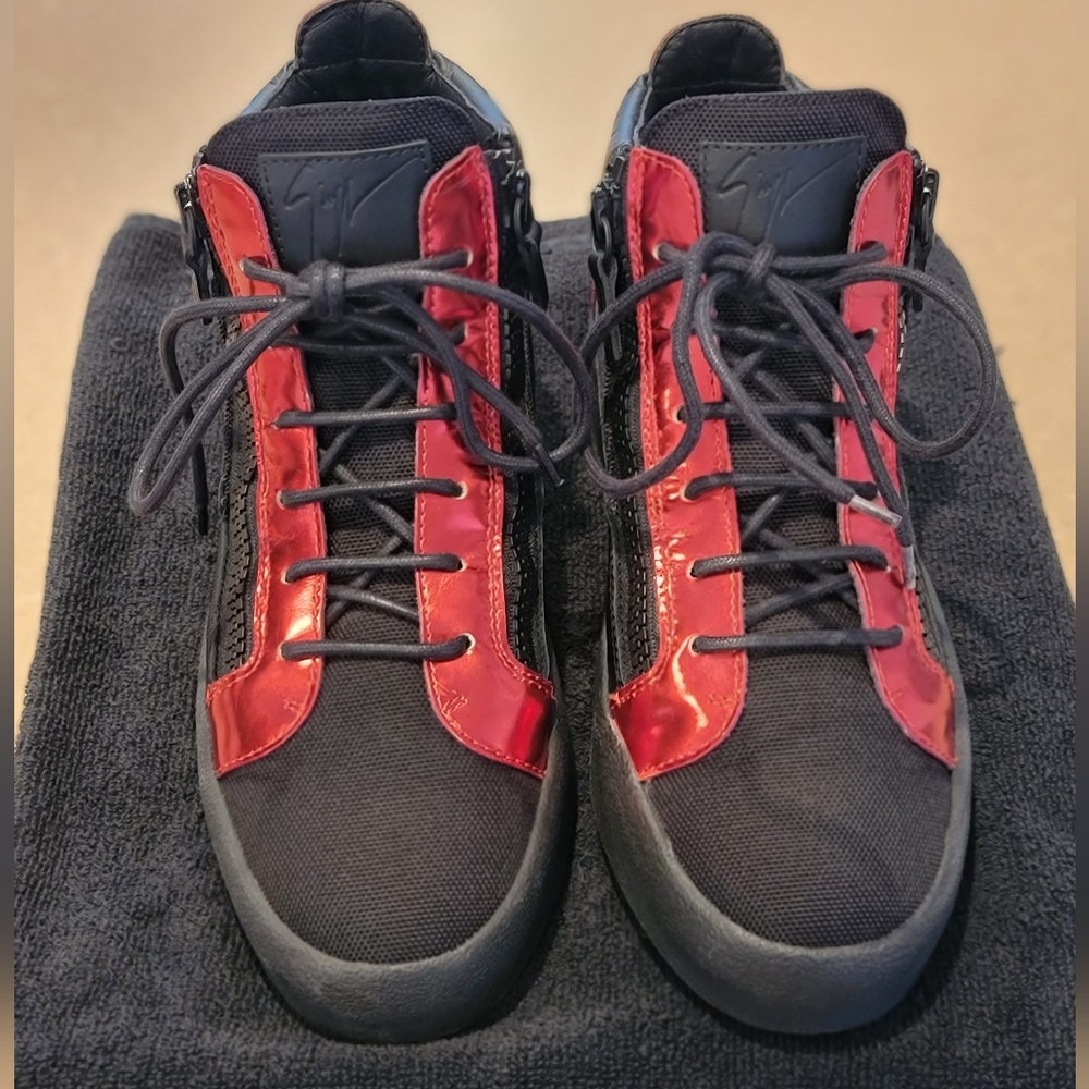 Giuseppe Zanotti's